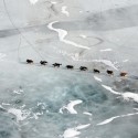 Iditarod Sled Dog Race