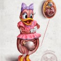 daisy-duck-anatomy