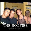 the-roofies-demotivational-poster-1240076071
