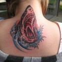 shark-tattoo-047