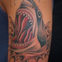 shark-tattoo-052