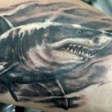 shark-tattoo-058