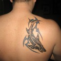 shark-tattoo-062