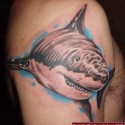 shark-tattoo-071