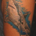 shark-tattoo-075