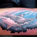 shark-tattoo-088