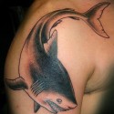 shark-tattoo-093