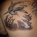 shark-tattoo-096
