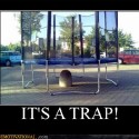 trap_photos_010