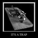 trap_photos_022
